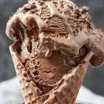 Vegan Chocolate Ice Cream