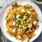 Tofu Shirataki Noodles Stir-Fry