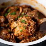 Slow Cooker Honey Garlic Chicken