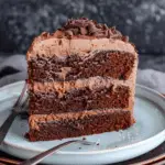 Chocolate Mayonnaise Cake