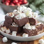 Creamy Hot Chocolate Fudge with Marshmallows
