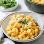 Instant Pot Vegan Mac and Cheese