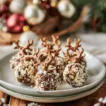 Reindeer Mini Cheese Balls