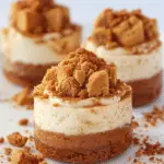 Mini Biscoff Cheesecakes